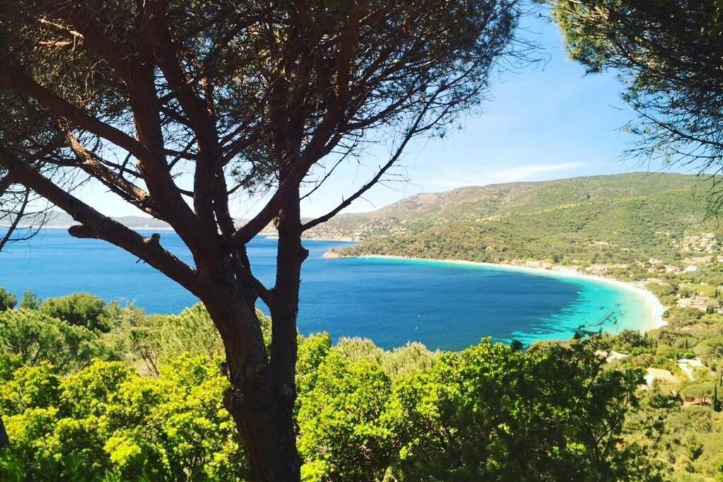 Magnifique Studio à 50m de la plage de Cavaliere - Studio Tamarindo Le Lavandou Esterno foto