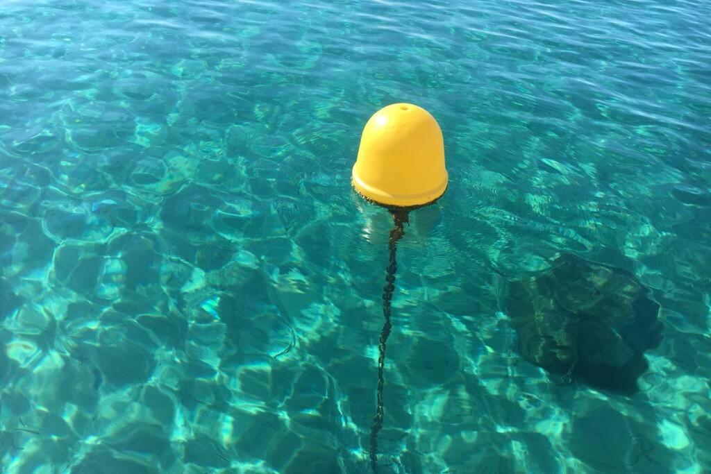 Magnifique Studio à 50m de la plage de Cavaliere - Studio Tamarindo Le Lavandou Esterno foto